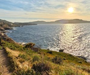 Lire la suite à propos de l’article Où jouer au poker en Corse ?